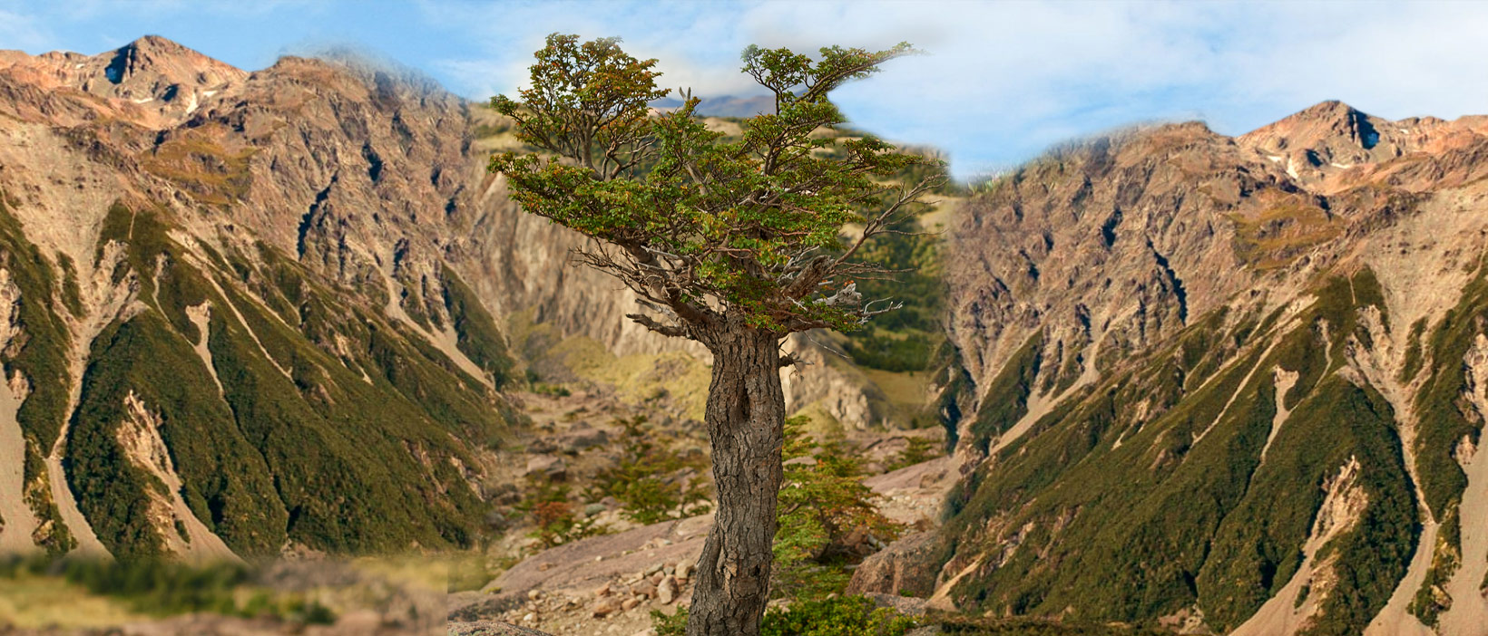 Paso 5 – El deseo del Padre